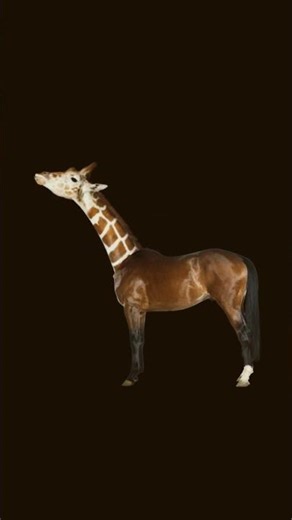 stop it at the horse head