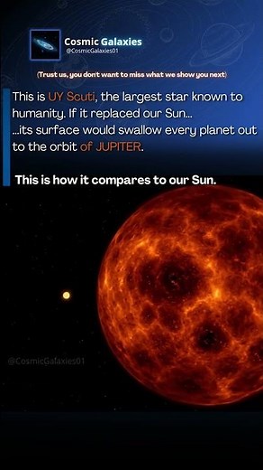 The Largest Star in the Universe (Our Sun is Just a Pixel) 🤯 #space #cosmicgalaxies