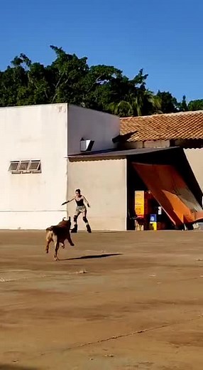 Fun Rollerblading Adventure with a Dog