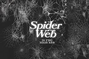 Spider Web PNG Bundle | 20 Realistic Cobweb Overlays | High Res Transparent Clipart for Halloween, Horror, Grunge Design, Dark Aesthetic - Etsy