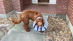 19K views · 2.8K reactions | Flip-flop Farmer on Reels | Facebook