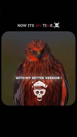 thi your time 🤜🤛😈☠️ KGF attitude song