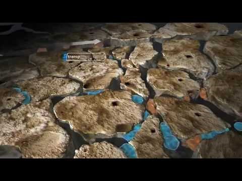 Enhanced Oil Recovery Co2 Flooding