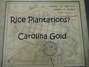 Rice Plantations? Carolina Gold
