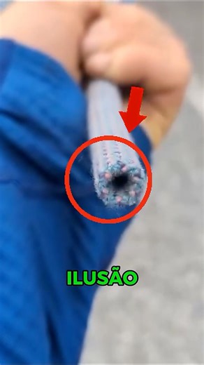 The illusion that fooled everyone 😵