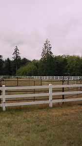 3K views · 35 reactions | Sliding doors. Exposed trusses. Covered runs. Every detail of this barn was designed with purpose—and it shows. Where style meets structure, that’s where Barn Pros comes in. | Barn Pros | Facebook