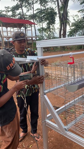 Membuat kandang ayam petelur skala rumahan #peternakayam #ayampetelur | Asep Rahmat