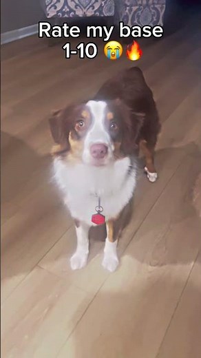 Bro has Best Base.. 😭🤑👌 #robloxirl #clox #viral