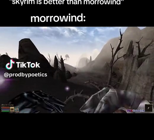 Morrowind Memes Compilation