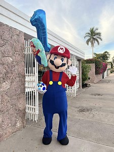 Mario Bros Mascot Costume - Etsy