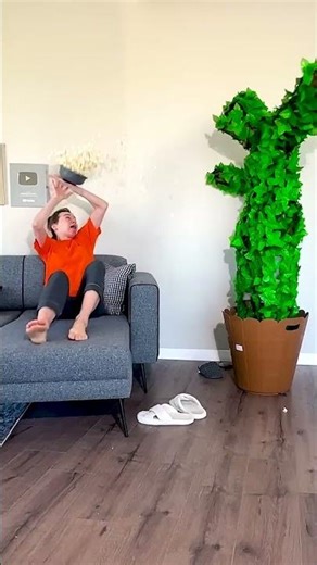 CRAZY CAT VS TREE MAN PRANK 😂🌲#reklam #shorts