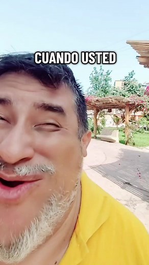 ¿Qué son páncreas, riñón y corazón? ¿El riñón se regenera?