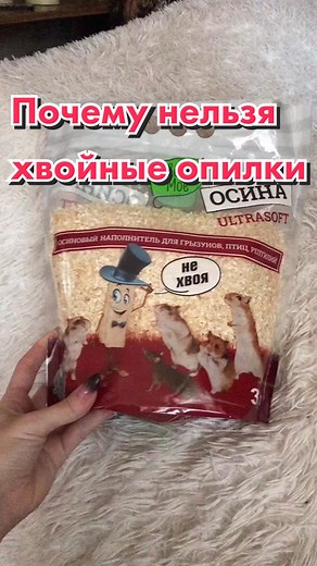 Как выбрать правильный наполнитель для хомяков