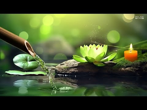 Relaxing Music Piano with the Sounds of Nature Bamboo Water Fountain - Sleep Music,Meditation.