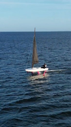 80K views · 551 reactions | #birdyfish #sailing #sailinglife #foilinglife #foiling | BirdyFish | Facebook