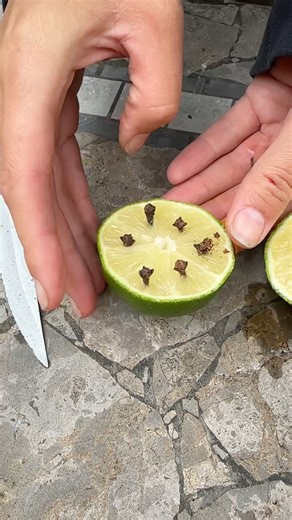 do this to repel bugs! #bugs #summer #lifehacks | Leon & LaCongo