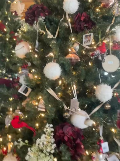 Scapes By Sarah on Instagram: "🎄 Buy One, Get One FREE Christmas Ornaments! 🎄 Yes, really. Kids ornaments, adult ornaments, and even vintage favorites from the 80s & 90s ✨ Perfect for gifting, collecting, or reliving your childhood one ornament at a time. Stop in and stock up. #smallbusiness #plants #houseplants #christmas"