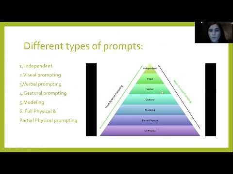 SPCE 683: Prompt Hierarchy (ABA)