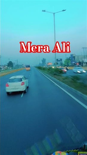 mera maula Ali #maulaali #hussain#iran #iran #trendingshorts #matamdari#moharram #manqabat #love