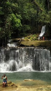 Jamaica 🇯🇲 , Having opened in 1992, YS Falls is one of Jamaica’s premier nature-based attractions offering our guests the opportunity to experience the beauty of the waterfalls, surrounded by lush gardens and magnificent trees #jamaica #jamaique #visitjamaica | sheldonlev