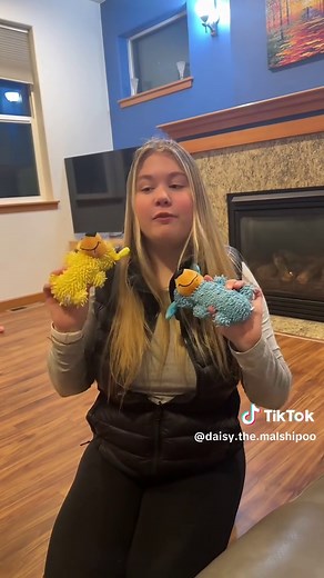 Daisy and Minnie’s Exciting New Dog Toys Review