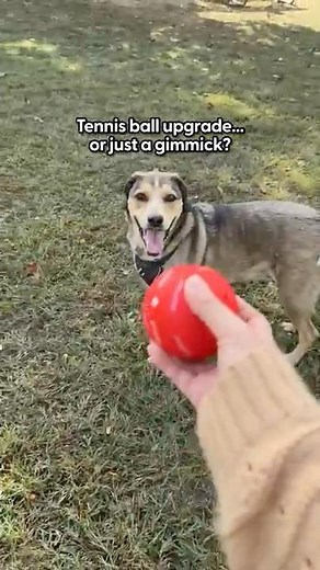 Is This Automatic Ball A Gimmick? | The Pack