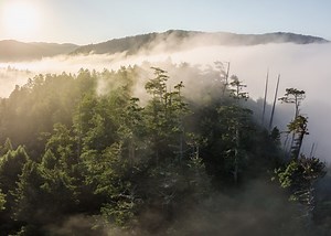 About | Redwood Materials