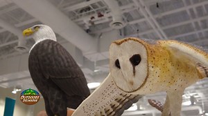 The 50th Ward World Championship Wildfowl Carving Competition & Art Festival took place at the Roland E. Powell Convention Center in Ocean City, Maryland. There were thousands of entries and many awards given out at this popular event. Ward Museum of Wildfowl Art, Salisbury University | Outdoors Delmarva | Facebook