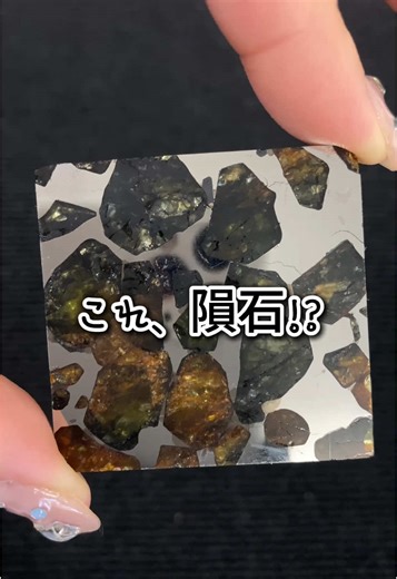 1グラム5万円の隕石です。#隕石 #メテオライト