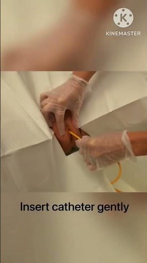 urine catheterization procedure female #nursing #health