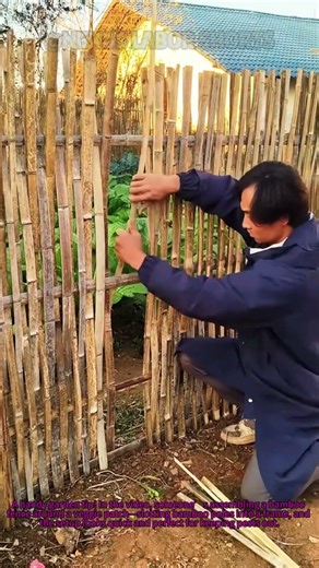 Garden Fence Hack: Build a Bamboo Fence for Your Veggie Patch—Super Easy!