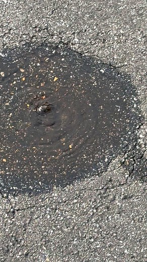 1.2K views | This is why you hire professionals Check second post for part 2 | Florida Lawn Care & Landscape Design, LLC | Facebook