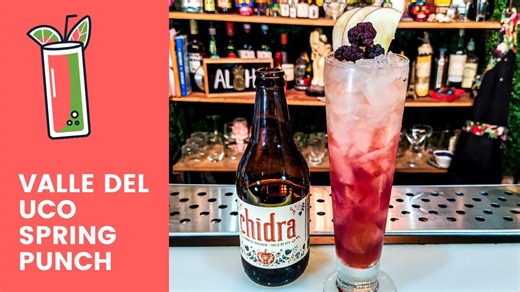 Cóctel con Sidra – Valle del Uco Spring Punch | Receta Refrescante