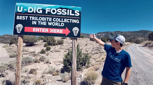 3.8K views · 279 reactions | This summer, I visited a place called...