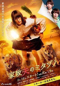 【火曜ドラマ】家政夫のミタゾノのあらすじ・キャスト・出演者一覧｜クランクイン！