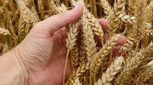 Bless Israel and Be Blessed – Genesis 12:3 Explained