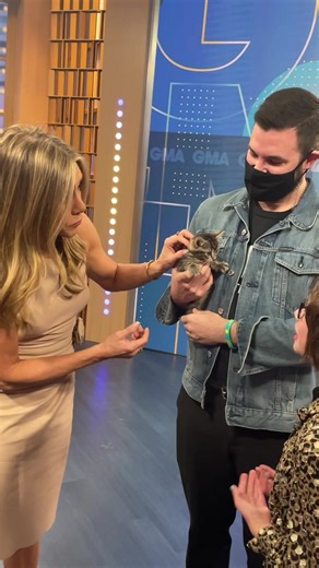 Jennifer Aniston y Gatitos: ¡La Mañana Perfecta!