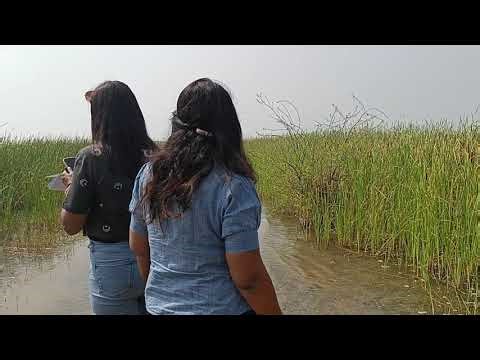 #Water Sampling Process with live example 