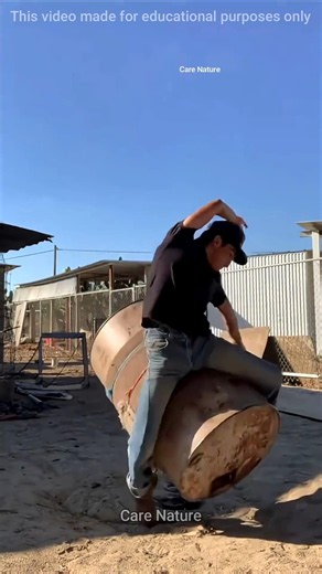 Is this how you learn to ride a bull? #practice #shorts