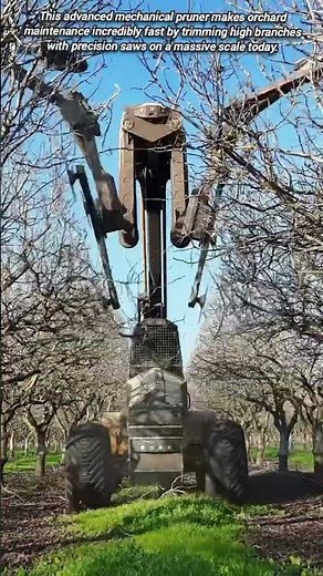 Advanced Automated Tree Trimming Technology For Efficient Orchard Management