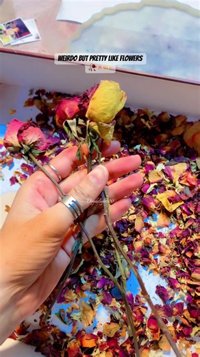 Flower Preservation in Resin Plate: A DIY Guide