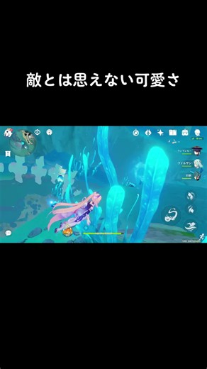 水中探索の楽しさと可愛いアザラシ