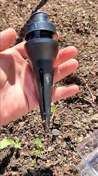 Action Irrigation System #vegetablegarden #watering #dripirrigation #gardening #action