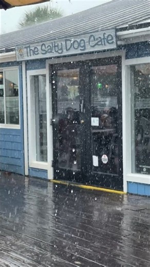 This Is Where The Salty Dog Cafe Began 🐕 | The ORIGINAL Hilton Head Location