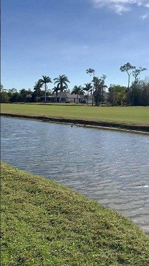 Eagle Ridge Golf Course Ft Myers FL