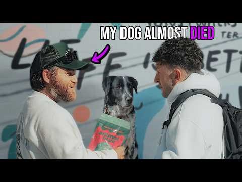 Surprising Shelter That Rescued 1500 Dogs From Death Row with $50,000