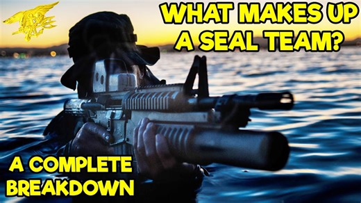 SEAL Team Breakdown: Composition, Deployment, and Specialization