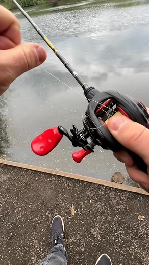 😃😅😗😉😊😃😋🥰 | Eddie Predovic