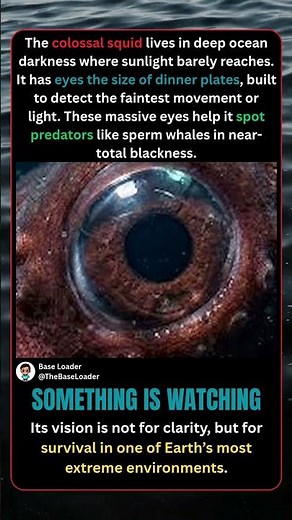 LARGEST Eyes in Nature