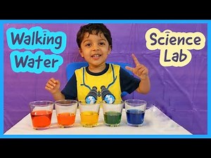 Diyan Learns Walking Water Science Experiment For Kids, STEM Capillary Action, Easy Science Activity
